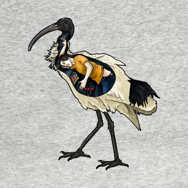 Ibis by Harley Warren